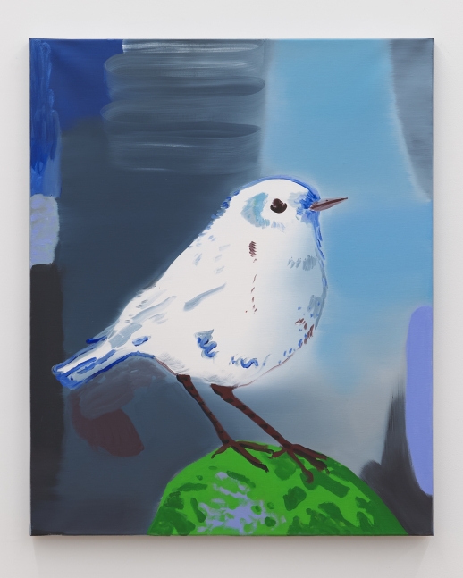 Fran&amp;ccedil;oise&amp;nbsp;P&amp;eacute;trovitch
Bird, 2021
oil on canvas
39.4 x 31.9 in
100 x 81 cm