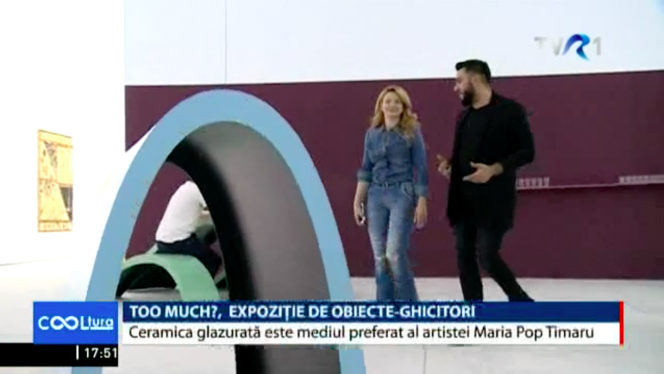 Daniela Pălimariu's 'Small Accidents Cafe' spotlighted on Romanian TVR1