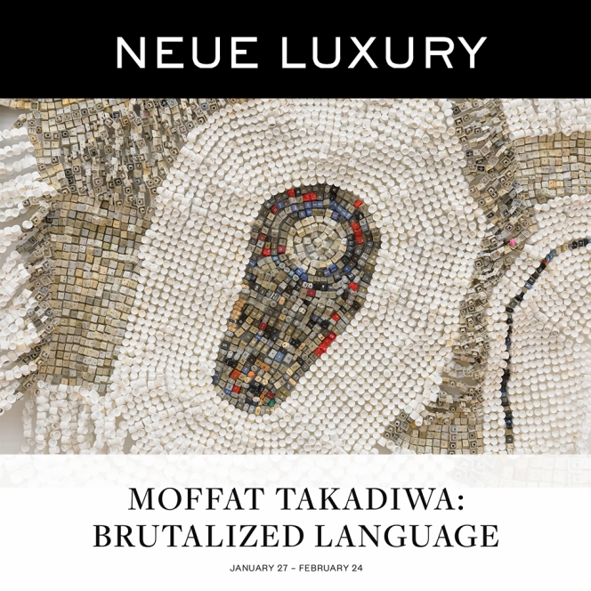 Moffat Takadiwa: Brutalized Language